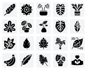 Popular Tropical Houseplants – Monstera Deliciosa, Philodendron, And Bromeliad For Modern Home Decor And Botanical Illustrations © steven