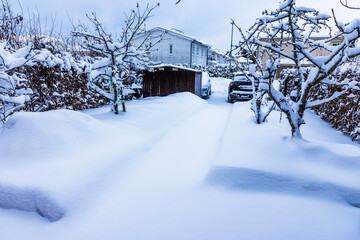 Beautiful view of private villa parking with driveway covered by deep snow, cars and garden trees in winter. Sweden.