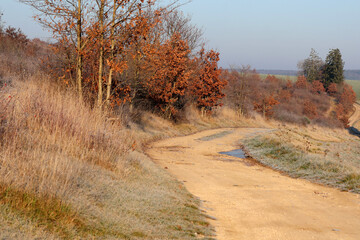 un chemin sous le soleil