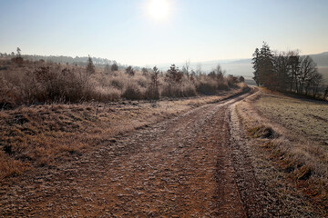 paysage au sein de l hiver