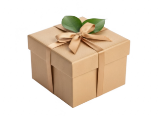 Elegant gift box with bow and leaves isolated on transparent background