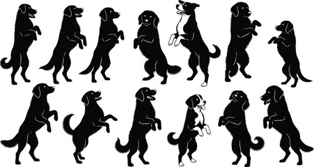 Silhouettes of dogs in pattern with one distinct figure, black shapes, transparent background, visual puzzle and recognition illustration
