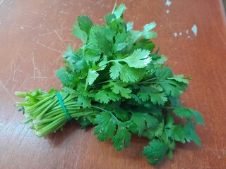 Coriander green leaves culinary harb vegetable on wooden desk.  Coriander seasoning ingredient recipe for flavor in delicious meal. Coriander commonly known as cilantro. 