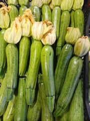 Zucchini vegetables with flowers. Zucchini  ingredients as low calories, and rich in vitamins,  minerals, and antioxidants. Summer squash healthy nutritional raw vegetable. 