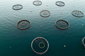 Aerial view of a fish farm with floating cages arranged on the water surface. Modern aquaculture and sustainable seafood production