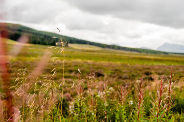 Vista panoramica costa scozzese