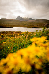 Vista panoramica costa scozzese