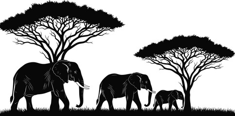 Black and White Silhouette Illustration of Elephant Family Walking Between Acacia Trees in African Savanna Landscape Isolated on White Background © Samina