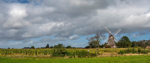 Panoramafoto der Oldsumer Windm&uuml;hle mit Wolkenhimmel und Maisfeld im Vordergrund auf der Nordseeinsel F&ouml;hr