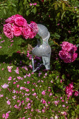 A shiny bra is playfully positioned among bright pink rose bushes and scattered petals in a lush green flower bed.