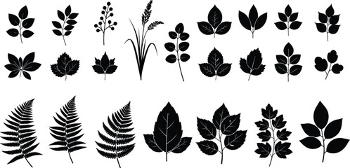 Large Black Silhouette Set Of Various Leaves Featuring Ferns Maple Oak Grass And Berries For Nature Design Garden And Botanical Illustration Projects, © Afsun
