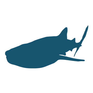 Whale Shark Vector Silhoutte Color Icon - Editaible EPS