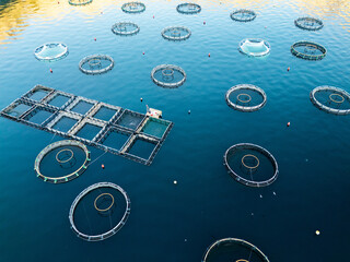 Aerial view of a fish farm with floating cages arranged on the water surface. Modern aquaculture and sustainable seafood production
