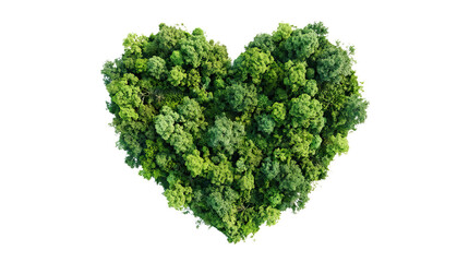 Heart shape made of various green foliage arranged artistically on a white background studio shot on white and transparent