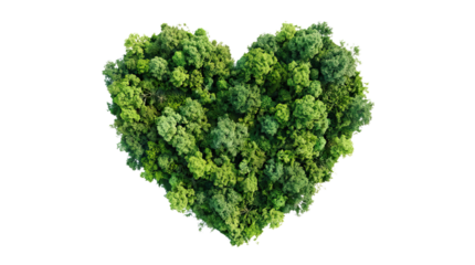 Heart shape made of various green foliage arranged artistically on a white background studio shot on white and transparent