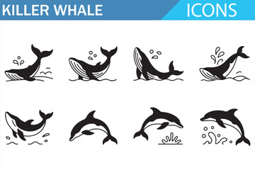 Marine mammal killer whale icons set for wildlife and aquatic design © MDSUMON