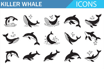 Killer whale line icons set featuring orca silhouettes, swimming poses, marine mammal movements, ocean wildlife symbols and aquatic animal illustration collection © MDSUMON
