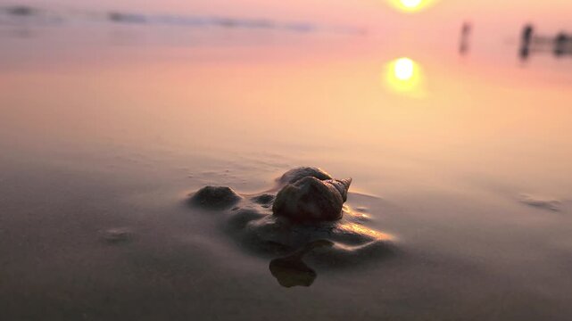 Sunset landscape video of sea beach with children playing with a sea snail as colorful horizon meets fading evening sky.