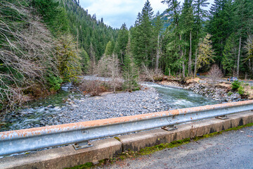 Roadside River Scene