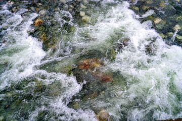 Whitewater On Snoqualmie River