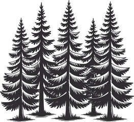 Hand drawn vintage pine forest sketch, coniferous evergreen trees line art, nature woodland vector illustration set © Majnur