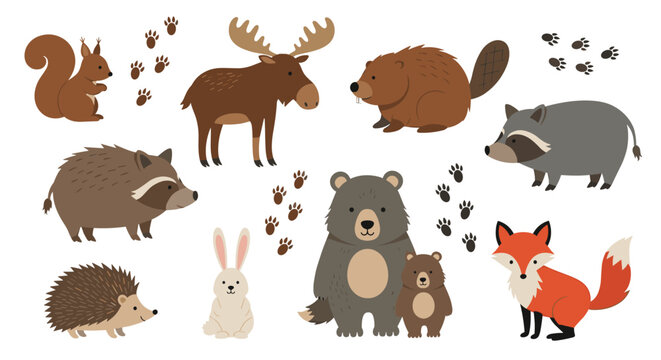 A cute cartoon collection of various woodland animals and their paw prints including a bear fox moose raccoon and squirrel.