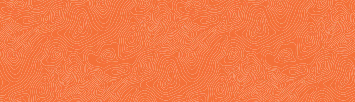 Salmon bg pattern with tuna seamless meat and texture line sushi. Fish backdrop vector with illustration salmon seafood and structure red background. Raw japanese salmon with fresh beef tuna.
