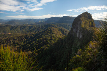 Clear blue sky, the Mount Cougal summit, showing natural ridges and forested slopes within a...