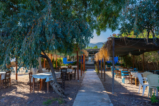 A cozy taverna among the trees by the beach on the Greek island of Lesbos, located in the Aegean Sea, background or wallpaper from the project

