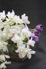 orchid flowers, cut flowers, cut white orchid branches, purple tulip, flower bouquet, lush cream orchids