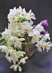 orchid flowers, cut flowers, cut white orchid branches, purple tulip, flower bouquet, lush cream orchids