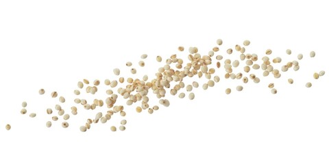 Raw quinoa seeds flying, isolated on white background, clipping path, macro 
