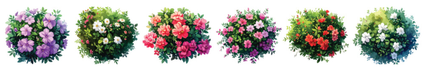 Flower bushes shrubs, gardening landscaping architectural floor plan elements watercolor set isolated on transparent background