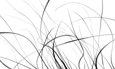 human hair scattered isolated in white background and texture, clipping path 
