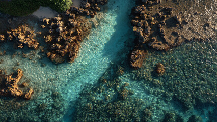 Sunlit Lagoon Coral Reef