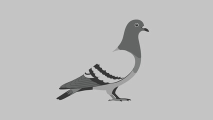 Fototapeta premium A stylized illustration of a pigeon in profile view.