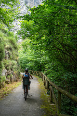 Obraz premium A person is riding a bicycle down a path in a forest. The path is lined with trees and the person is wearing a helmet