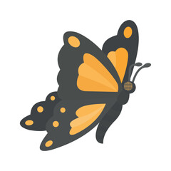 Butterfly icon in trendy flat design