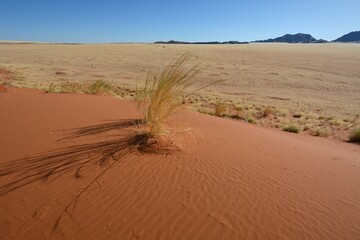 Sandw&uuml;ste im Namib-Naukluft-Nationalpark in Namibia