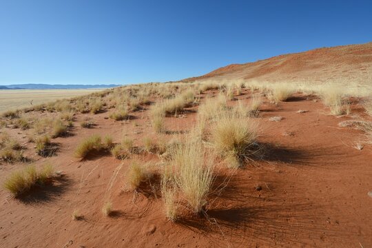 Sandw&uuml;ste im Namib-Naukluft-Nationalpark in Namibia