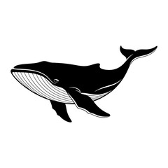 Black humpback whale silhouette with white lines on white background marine mammal ocean © Elite Graphics