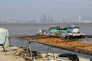 Seafood farm in Lau Fau Shan in the North of Hong Kong