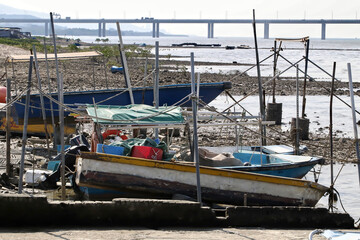 fishing boats parked on shore