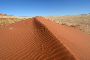 Sandw&uuml;ste im Namib-Naukluft-Nationalpark in Namibia