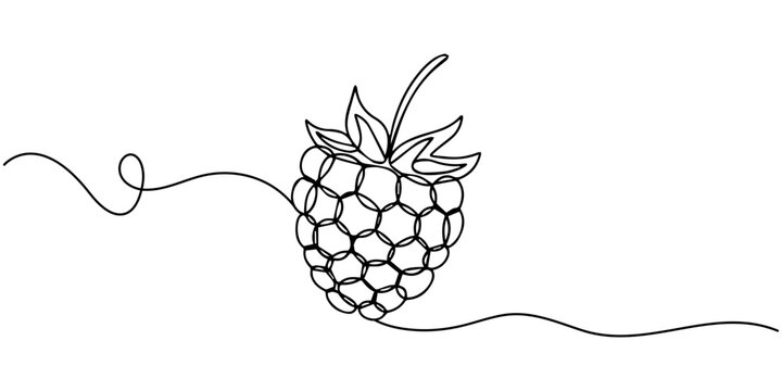 Elegant one line drawing of a fresh raspberry, isolated on white, Raspberry one line drawing. Continuous outline of Raspberry fruit, Vector illustration healthy food concept, Single continuous line