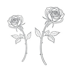 Minimal Rose Flower Line Art Illustration, Elegant Botanical Floral Outline Vector Design