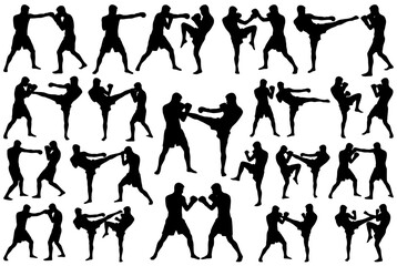 Silhouettes of martial artists in action isolated on white background, Vector, illustration