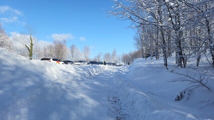 Kartepe, Turkey &ndash; January 3, 2026: Snow-covered forest road with parked cars under clear blue winter sky.