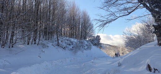 Kartepe, Turkey &ndash; January 3, 2026: Quiet winter forest path blanketed in deep snow and surrounded by bare trees.