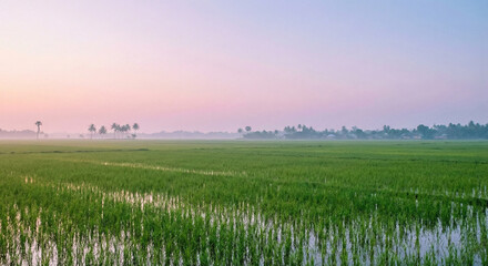 Pongal wishes in tamil text, happy pongal 2026